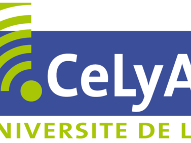 CeLya Summer School ”Hearing in noise”